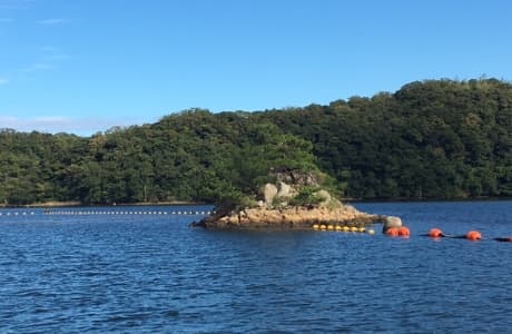 使用例